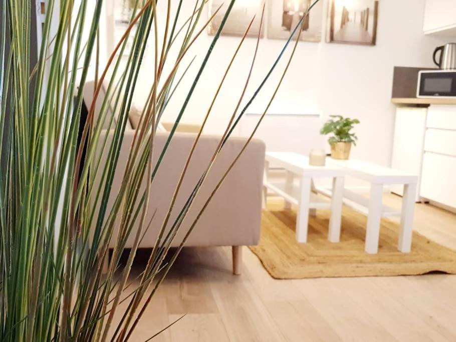 Le Coco Playa - Madame Conciergerie Apartment Брю Екстериор снимка